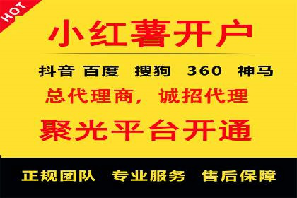 谷歌竞价广告与SEO结合的营销案例解析